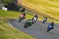 brands-hatch-photographs;brands-no-limits-trackday;cadwell-trackday-photographs;enduro-digital-images;event-digital-images;eventdigitalimages;no-limits-trackdays;peter-wileman-photography;racing-digital-images;trackday-digital-images;trackday-photos